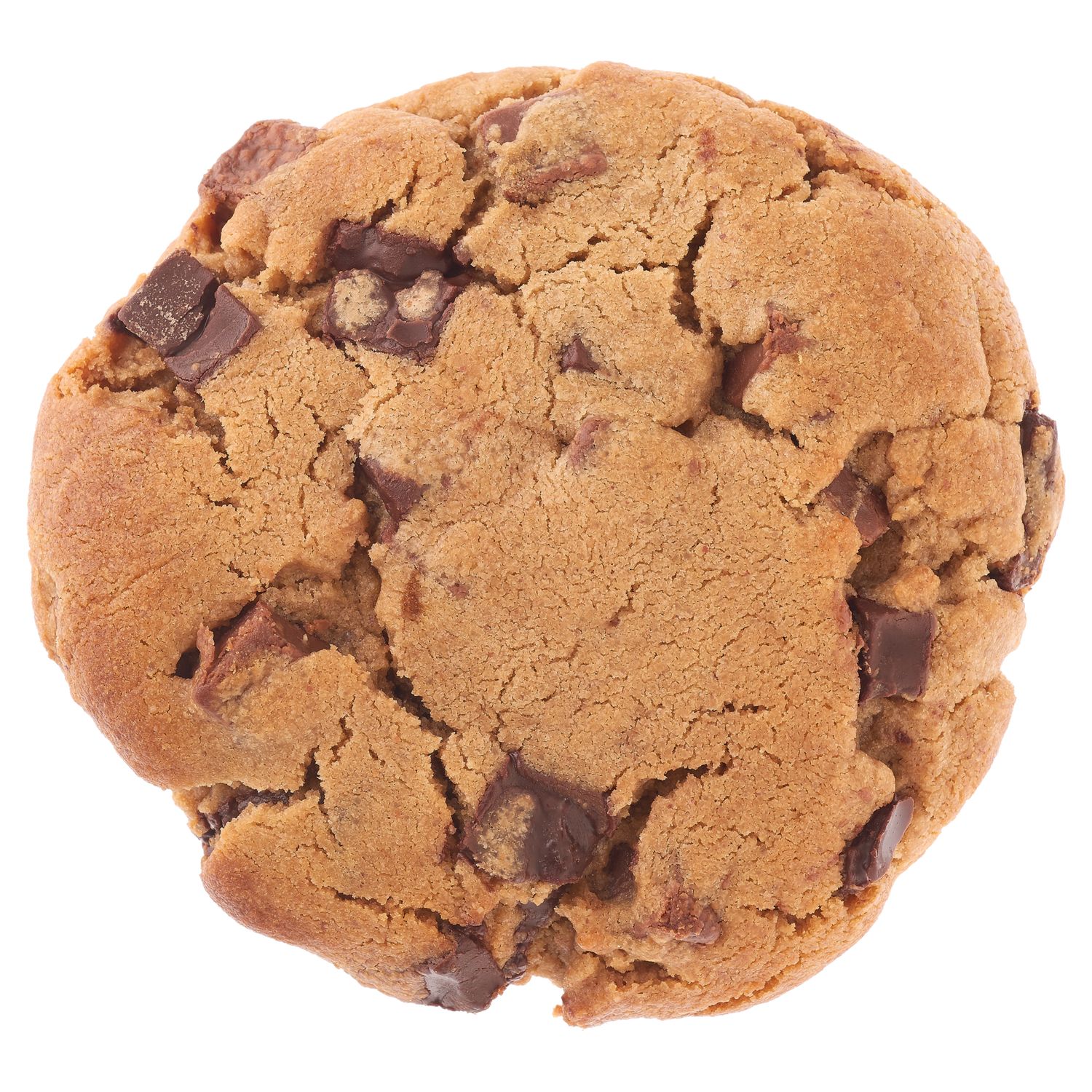 Peanut Butter Chocolate Chip Cookie